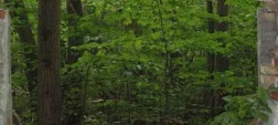 DSC00133