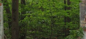 DSC00133