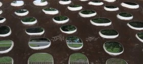 IMG_1571