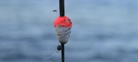 IMG_3561