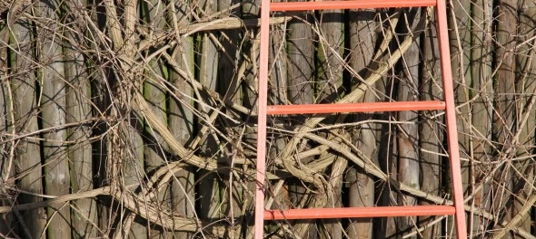 IMG_0140