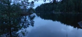 Skovsø