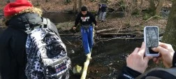 GuleMob